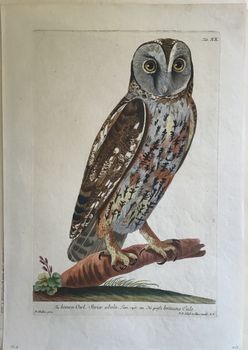Produktillustration