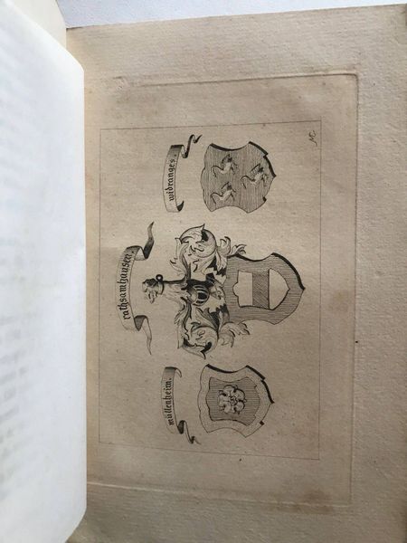 Productafbeelding Tanviller. Histoire de la seigneurie.