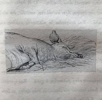 Produktillustration