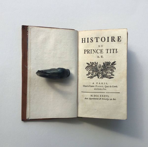 Produktbild Thémiseul de Saint-Hyacinthe. Histoire du Prince Titi.