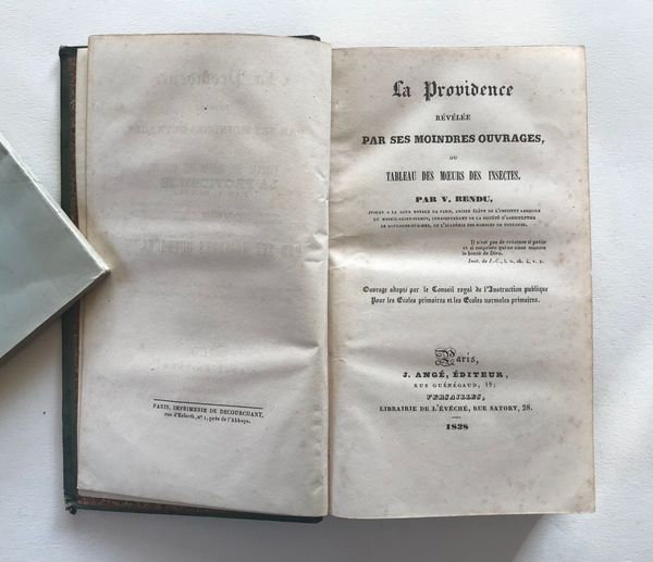 Produktbild V. Rendu. La providence révélée par ses moindres ouvrages ou tableau des moeurs des insectes.