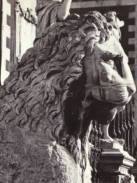 Produktbild Venise. Lion de l'arsenal.