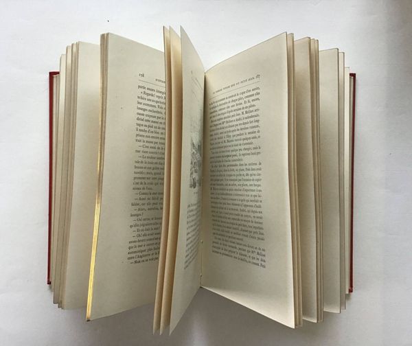 Productafbeelding Viollet le Duc. Histoire d'un dessinateur, comment on apprend à dessiner.