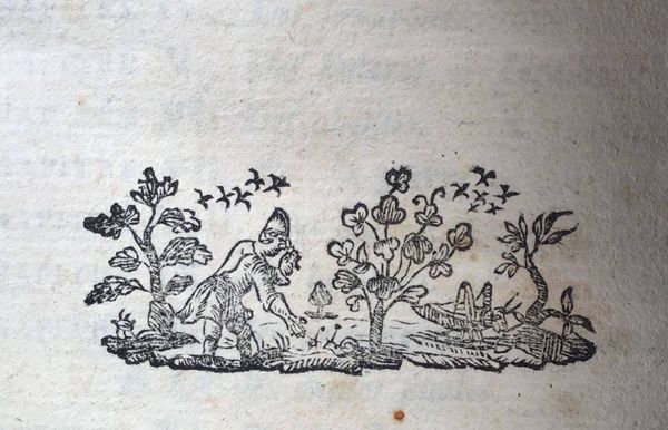 Productafbeelding Voltaire. Les Singularités de la nature.
